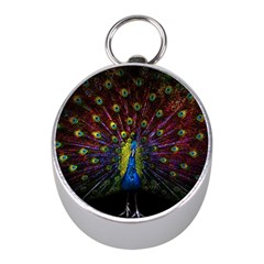 Beautiful Peacock Feather Mini Silver Compasses by Ket1n9