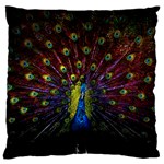 Beautiful Peacock Feather Standard Premium Plush Fleece Cushion Case (One Side) Front