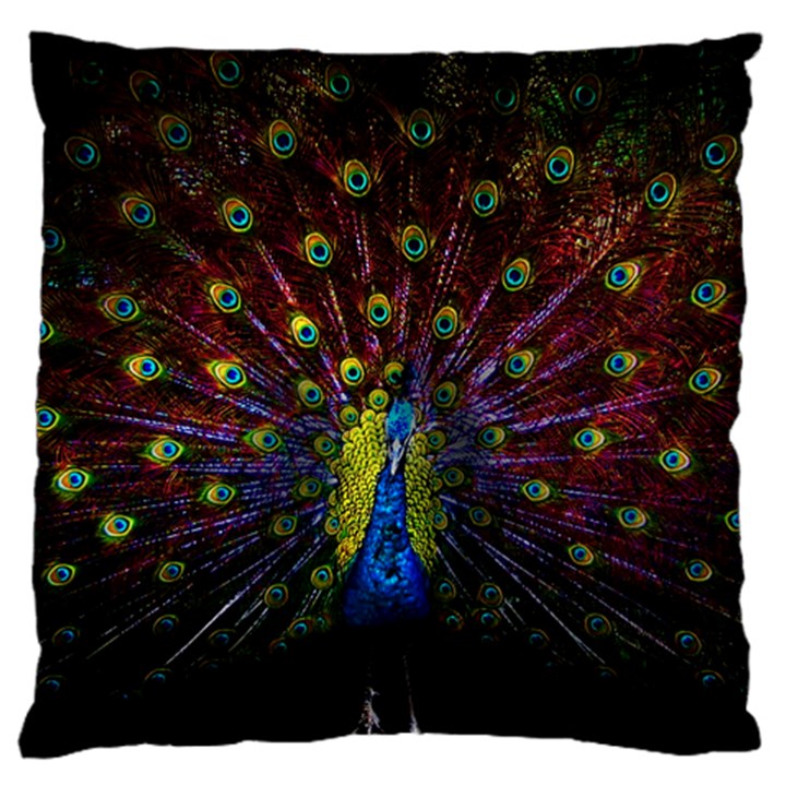 Beautiful Peacock Feather Standard Premium Plush Fleece Cushion Case (One Side)