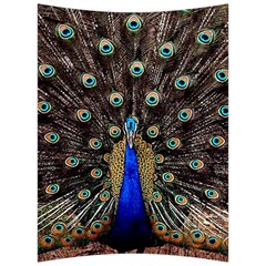 Peacock Back Support Cushion