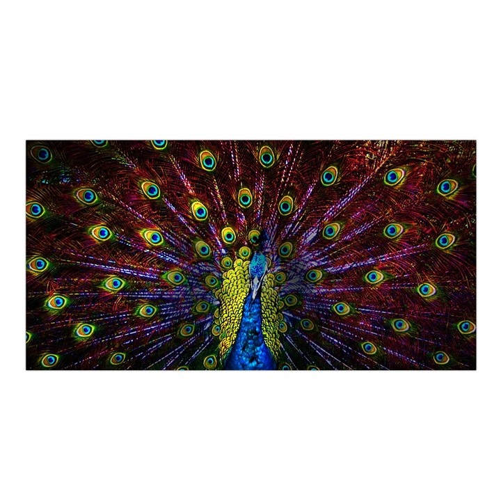 Beautiful Peacock Feather Satin Shawl 45  x 80 