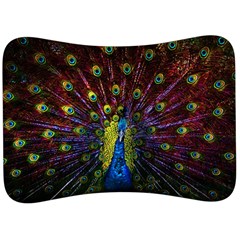 Beautiful Peacock Feather Velour Seat Head Rest Cushion by Ket1n9