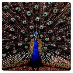 Peacock Uv Print Square Tile Coaster  by Ket1n9