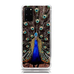 Peacock Samsung Galaxy S20plus 6 7 Inch Tpu Uv Case by Ket1n9