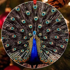 Peacock Uv Print Acrylic Ornament Round by Ket1n9