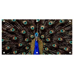 Peacock Banner And Sign 4  X 2  by Ket1n9