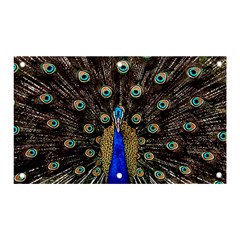 Peacock Banner And Sign 5  X 3  by Ket1n9