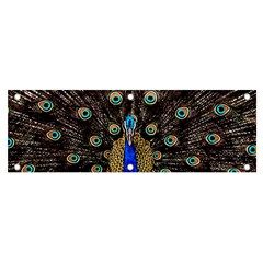 Peacock Banner And Sign 6  X 2  by Ket1n9