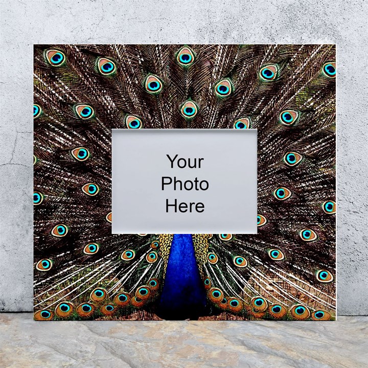 Peacock White Wall Photo Frame 5  x 7 