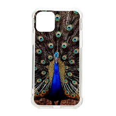 Peacock Iphone 11 Pro 5 8 Inch Tpu Uv Print Case by Ket1n9