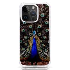 Peacock Iphone 14 Pro Tpu Uv Print Case by Ket1n9