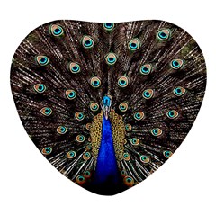 Peacock Heart Glass Fridge Magnet (4 Pack) by Ket1n9