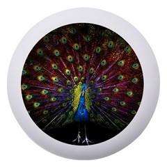 Beautiful Peacock Feather Dento Box With Mirror