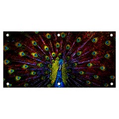 Beautiful Peacock Feather Banner And Sign 6  X 3  by Ket1n9