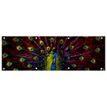 Beautiful Peacock Feather Banner and Sign 9  x 3  Front