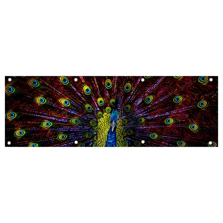 Beautiful Peacock Feather Banner and Sign 9  x 3 