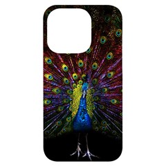 Beautiful Peacock Feather Iphone 14 Pro Black Uv Print Case by Ket1n9