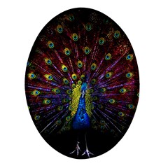 Beautiful Peacock Feather Oval Glass Fridge Magnet (4 Pack) by Ket1n9