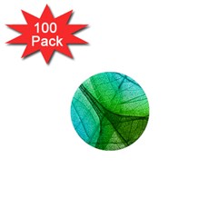 Sunlight Filtering Through Transparent Leaves Green Blue 1  Mini Magnets (100 Pack)  by Ket1n9