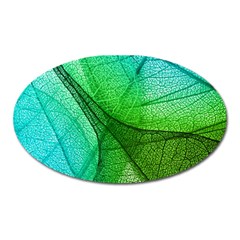 Sunlight Filtering Through Transparent Leaves Green Blue Oval Magnet by Ket1n9