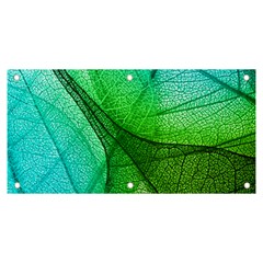 Sunlight Filtering Through Transparent Leaves Green Blue Banner And Sign 6  X 3  by Ket1n9