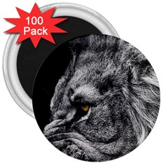 Angry Male Lion Roar Wild Animal 3  Magnets (100 Pack) by Cendanart