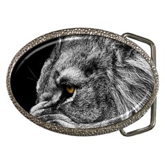 Angry Male Lion Roar Wild Animal Belt Buckles