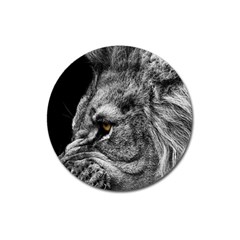 Angry Male Lion Roar Wild Animal Magnet 3  (round) by Cendanart