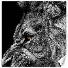 Angry Male Lion Roar Wild Animal Canvas 12  X 12  by Cendanart