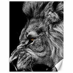 Angry Male Lion Roar Wild Animal Canvas 12  X 16  by Cendanart