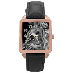 Angry Male Lion Roar Wild Animal Rose Gold Leather Watch  by Cendanart