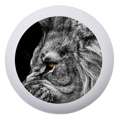 Angry Male Lion Roar Wild Animal Dento Box With Mirror by Cendanart