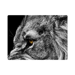 Angry Male Lion Roar Wild Animal Premium Plush Fleece Blanket (mini)