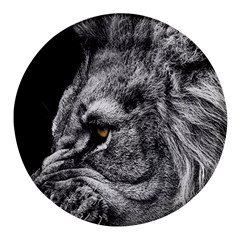 Angry Male Lion Roar Wild Animal Round Glass Fridge Magnet (4 Pack) by Cendanart