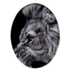 Angry Male Lion Roar Wild Animal Oval Glass Fridge Magnet (4 Pack) by Cendanart