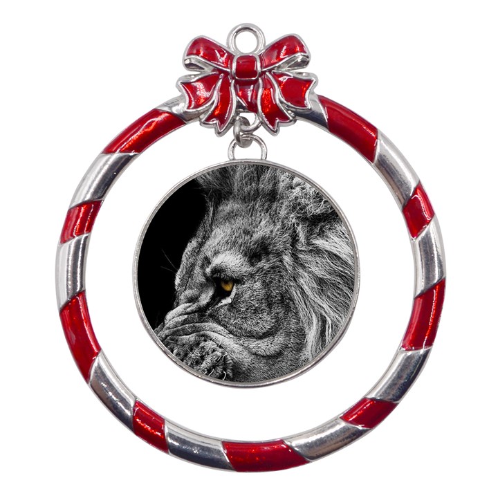 Angry Male Lion Roar Wild Animal Metal Red Ribbon Round Ornament