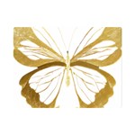 Simulated Gold Leaf Gilded Butterfly Premium Plush Fleece Blanket (Mini) 35 x27  Blanket Front