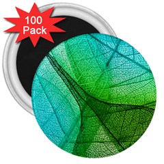 Sunlight Filtering Through Transparent Leaves Green Blue 3  Magnets (100 Pack) by Ket1n9