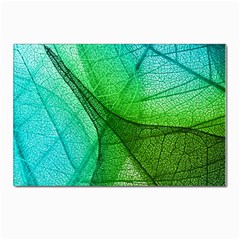 Sunlight Filtering Through Transparent Leaves Green Blue Postcards 5  X 7  (pkg Of 10) by Ket1n9