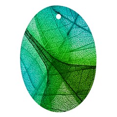 Sunlight Filtering Through Transparent Leaves Green Blue Oval Ornament (two Sides) by Ket1n9