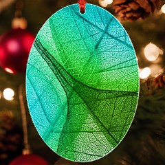 Sunlight Filtering Through Transparent Leaves Green Blue Uv Print Acrylic Ornament Oval by Ket1n9