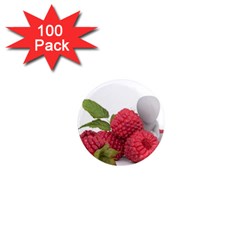 Fruit Healthy Vitamin Vegan 1  Mini Magnets (100 Pack)  by Ket1n9