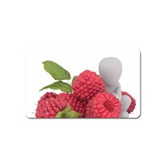 Fruit Healthy Vitamin Vegan Magnet (name Card) by Ket1n9