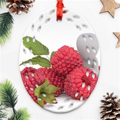 Fruit Healthy Vitamin Vegan Ornament (oval Filigree) by Ket1n9