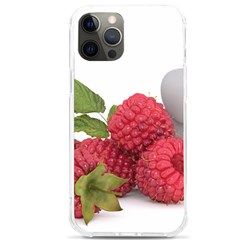 Fruit Healthy Vitamin Vegan Iphone 12 Pro Max Tpu Uv Print Case by Ket1n9