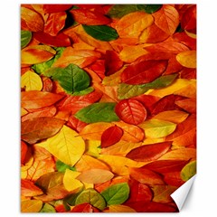 Leaves Texture Canvas 8  X 10 