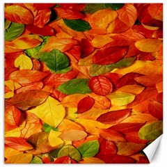 Leaves Texture Canvas 12  X 12  by Ket1n9