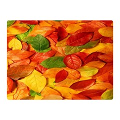 Leaves Texture Two Sides Premium Plush Fleece Blanket (mini) by Ket1n9