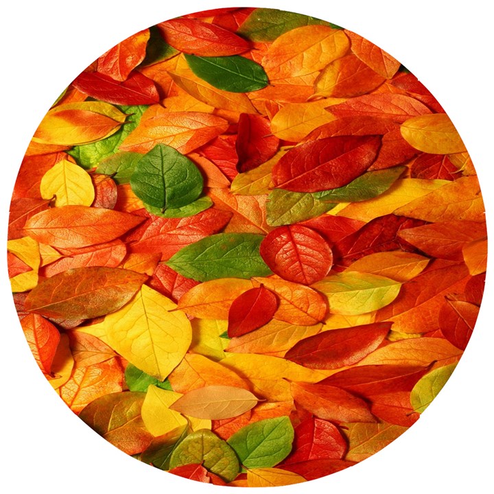 Leaves Texture Wooden Puzzle Round