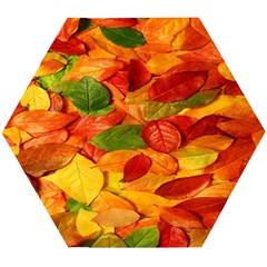 Leaves Texture Wooden Puzzle Hexagon by Ket1n9